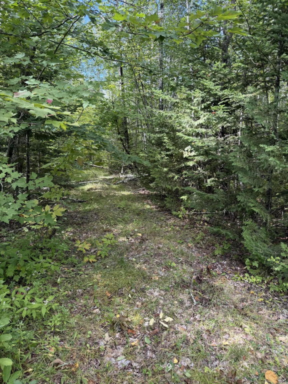 M1 L74 Lyford Road  Orneville Twp