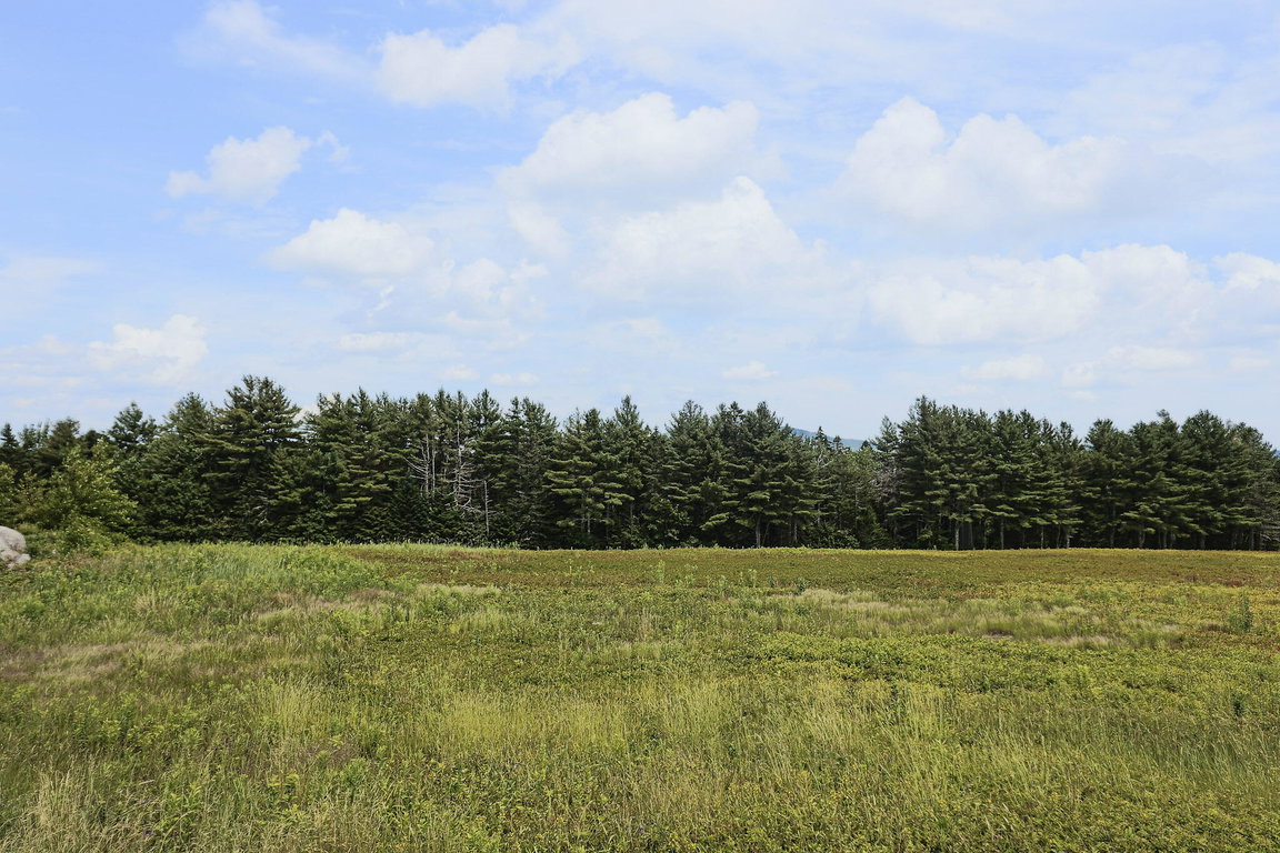 Lot 1
