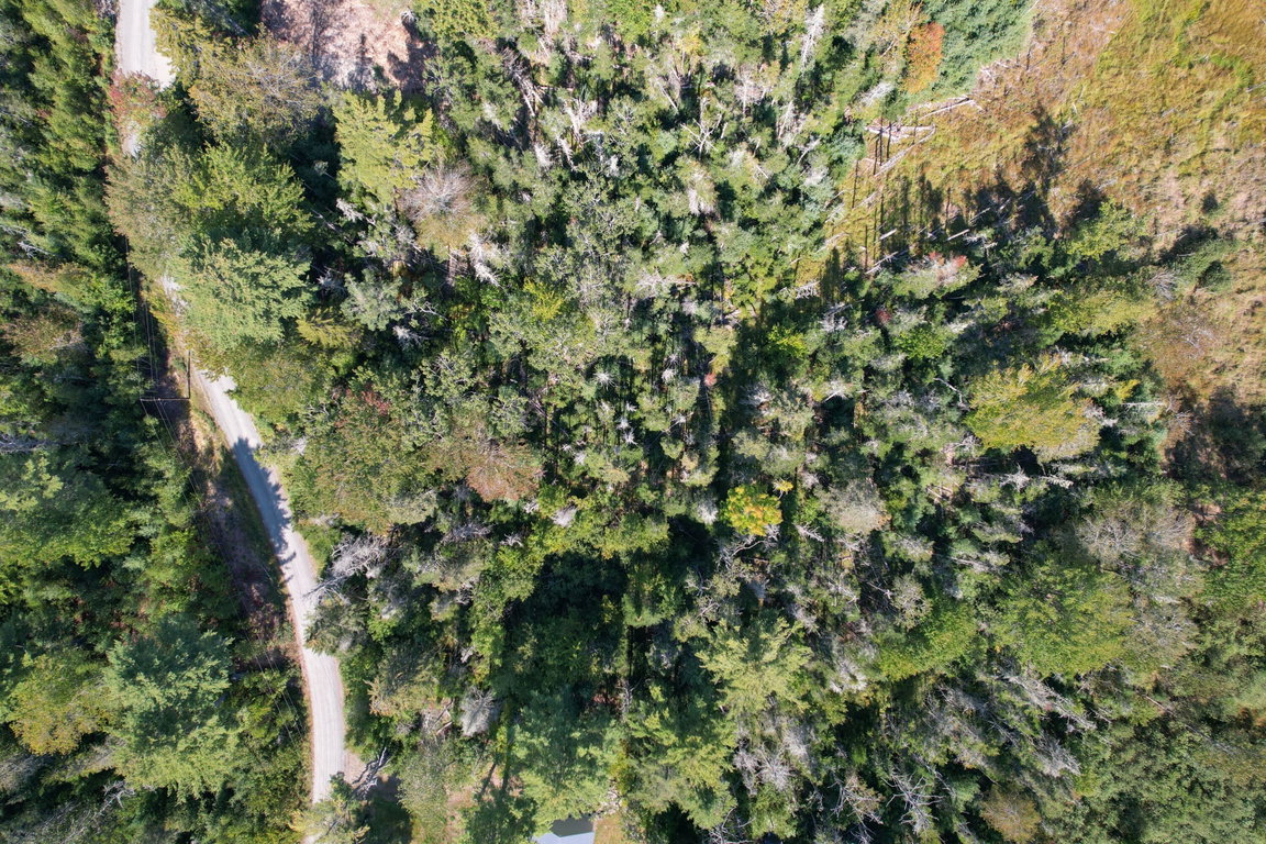 DJI_0928