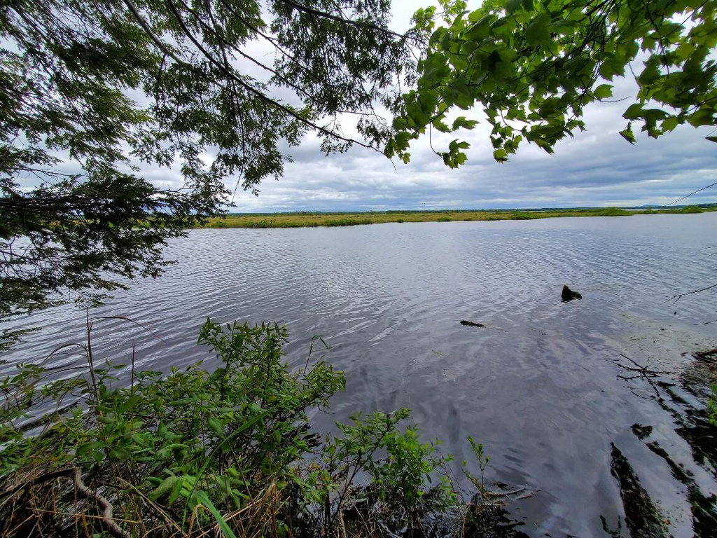 channel between property & island/heath