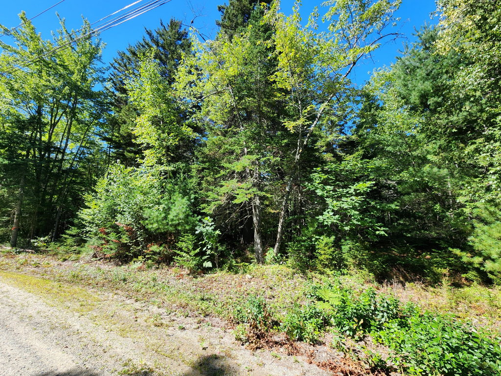 Mattson Lane, Blue Hill
