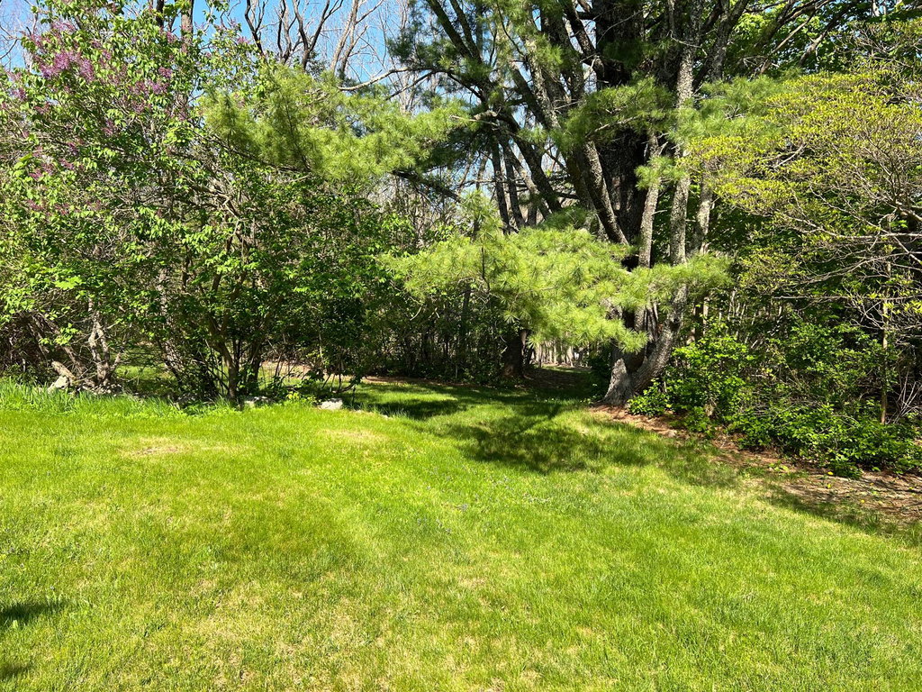 Yard4