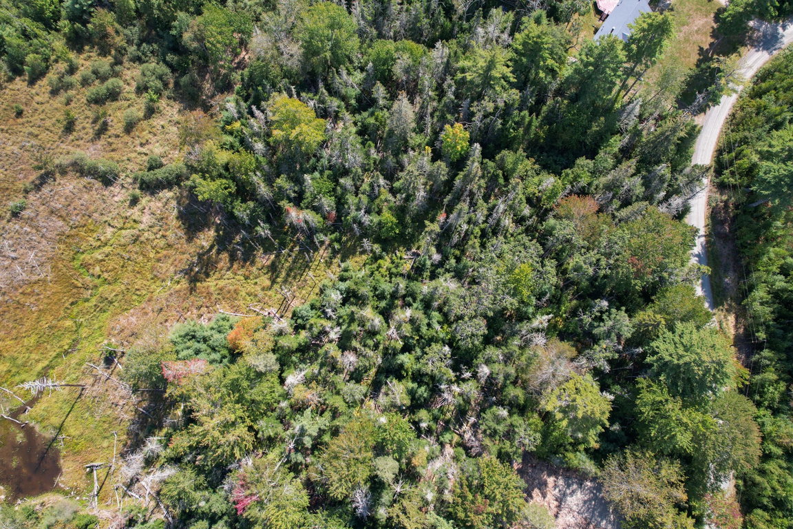 DJI_0908