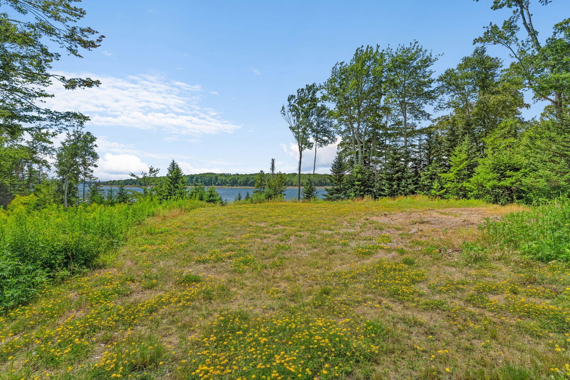19-web-or-mls-60-moose-run