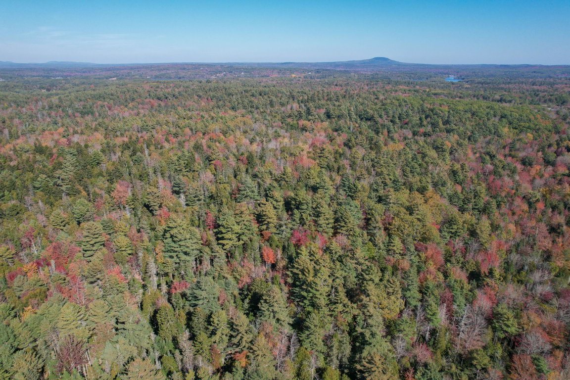 DJI_0210