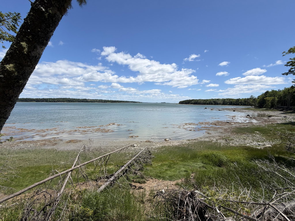 View from Bluff