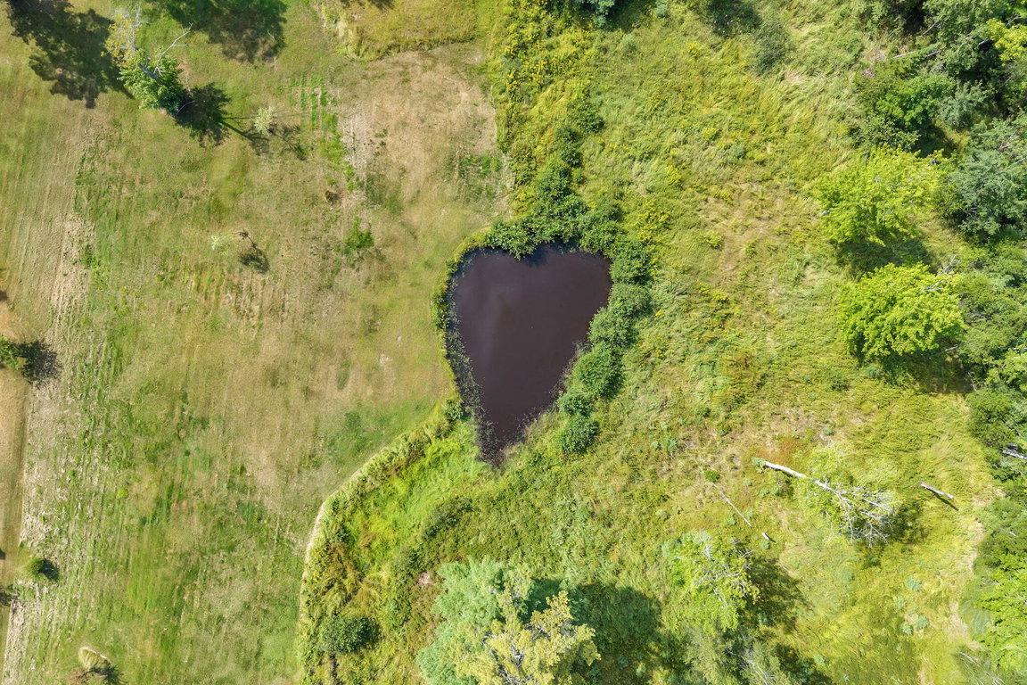 90-web-or-mls-368-partridge-cove-rd