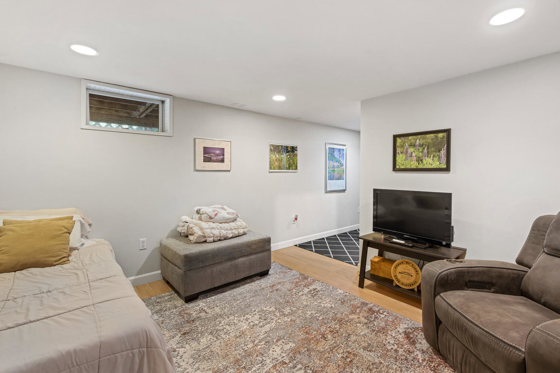 Basement Guest Room