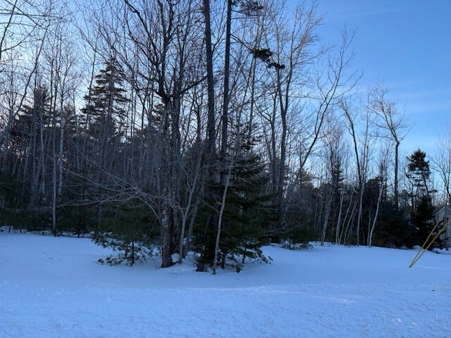 0 Heritage Drive Owls Head