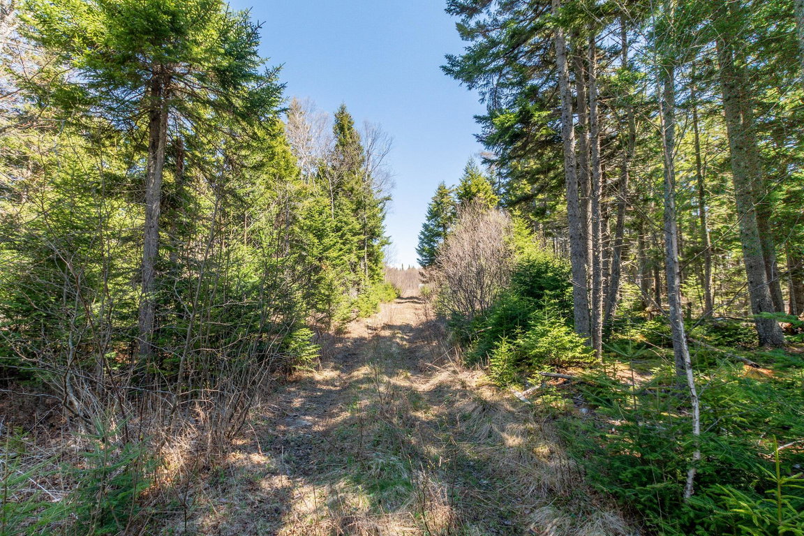 840 Cutler Rd. Road Machiasport