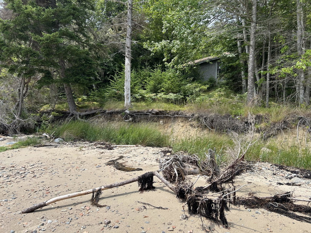 Treehouse beach