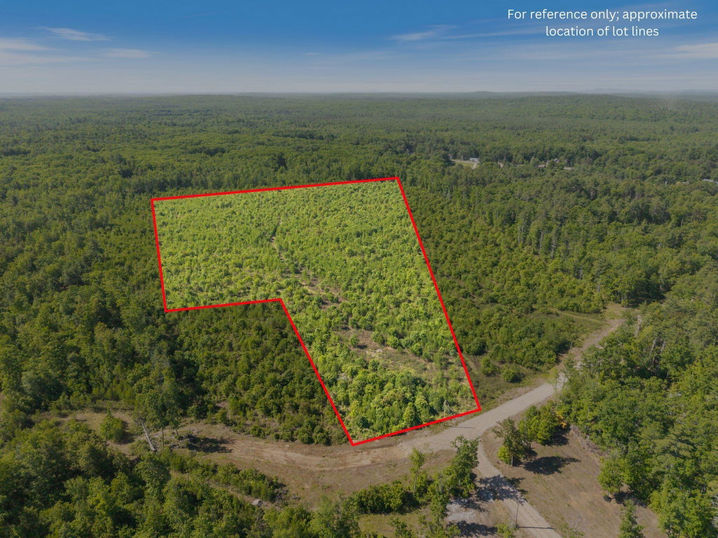 Map 004 Lot 064-5 & 064-6  Hollis