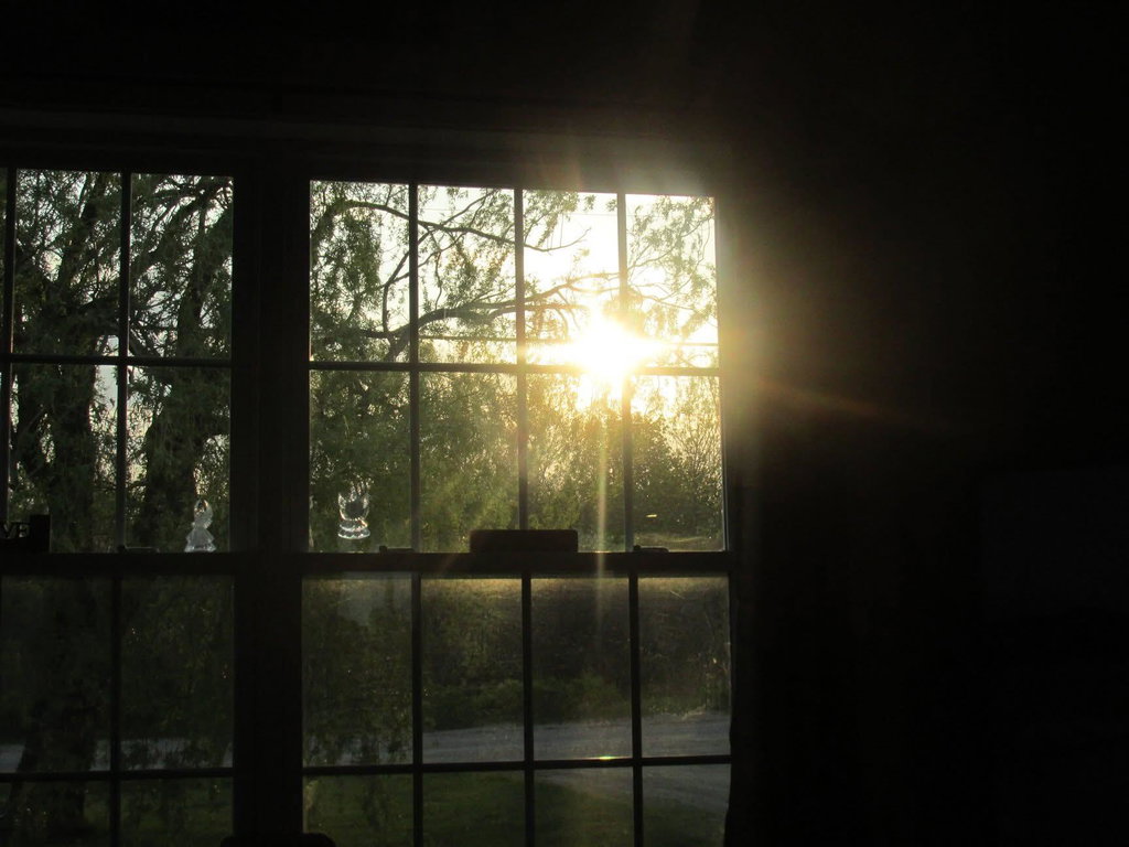 Looking out LR window