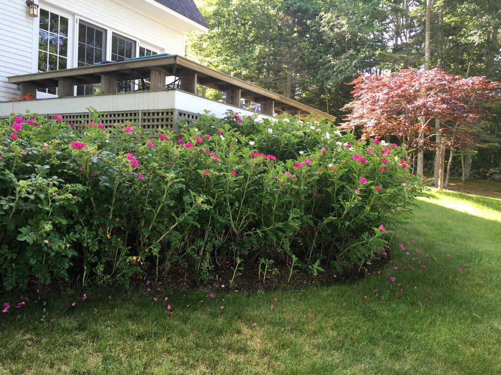 70 Harleys Way, Deer Isle
