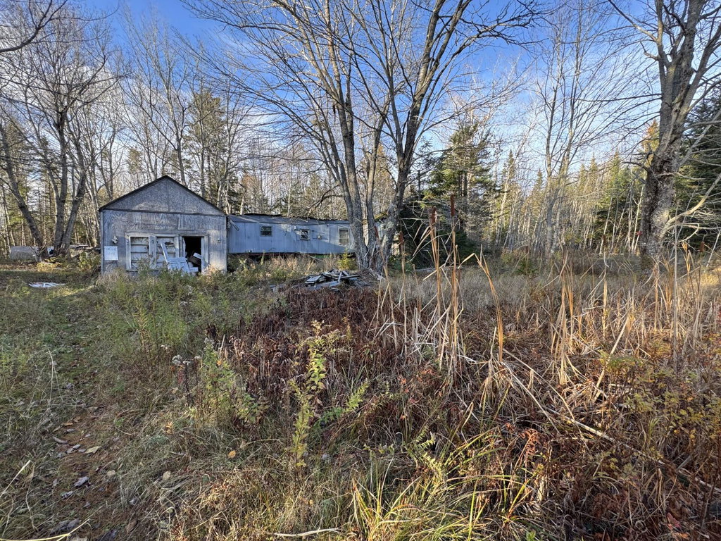604 U.S. 1  Columbia Falls