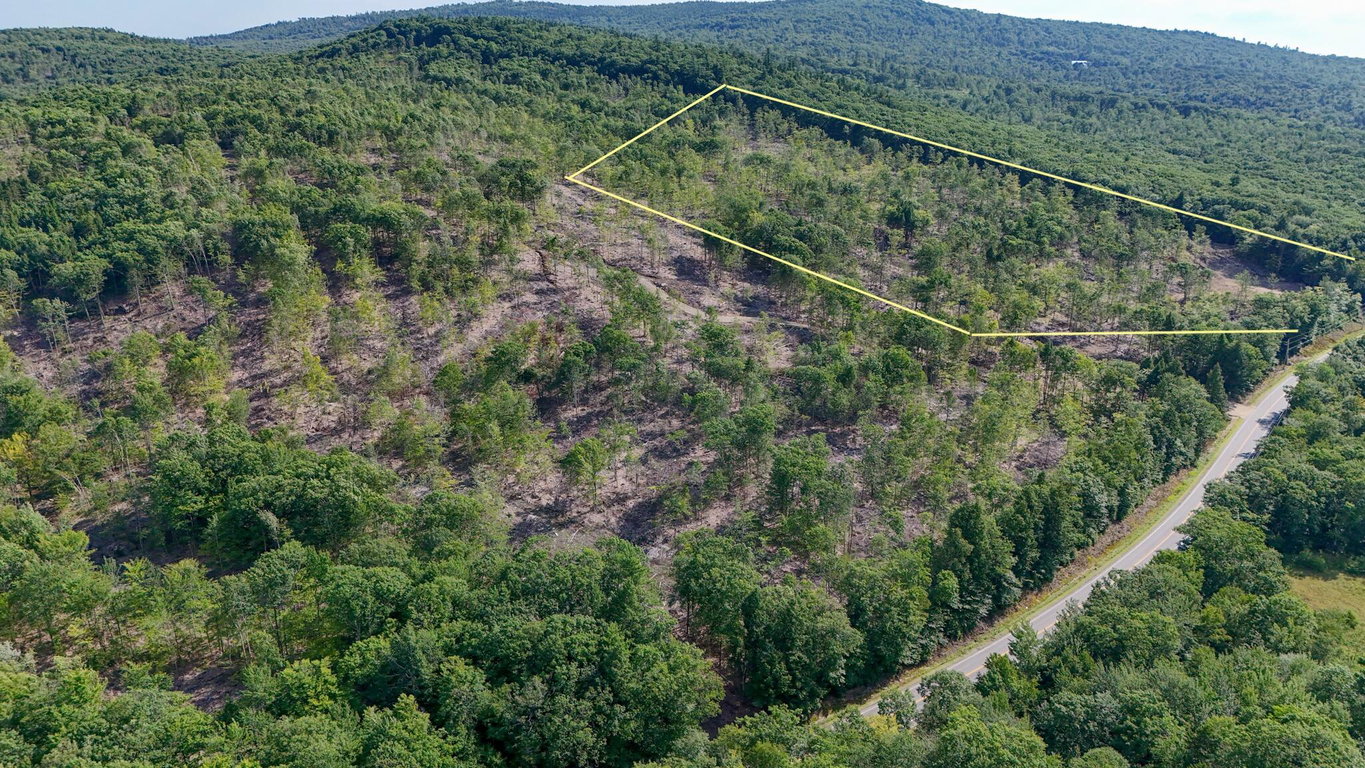 40.9 Streaked Mountain Road Hartford