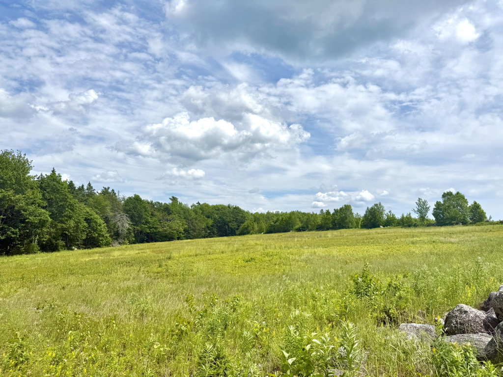 Lot 9