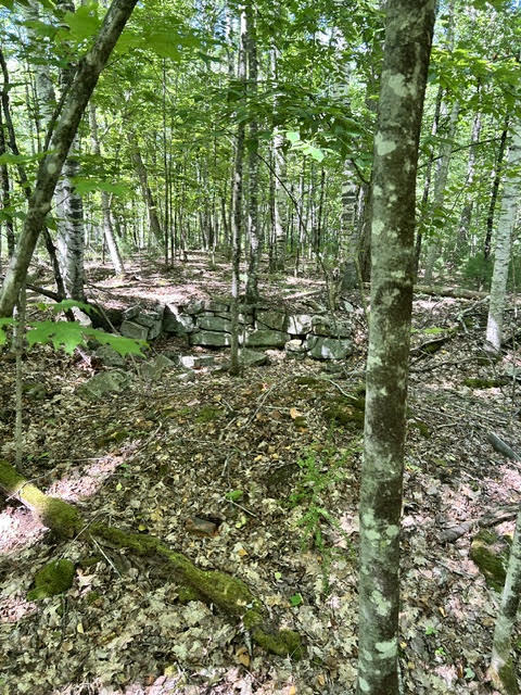 #56 South Waterboro Road Lyman