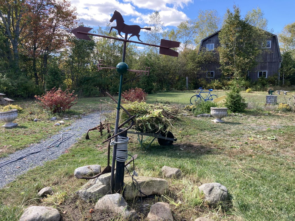 Back garden area.