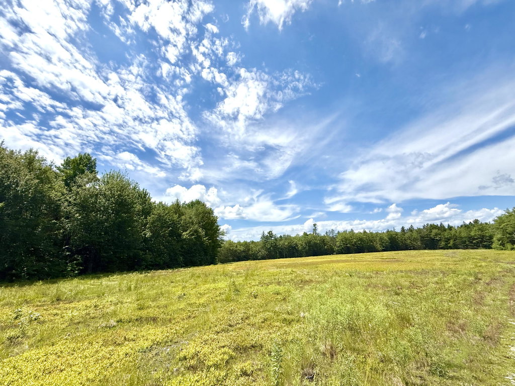 Lot 9