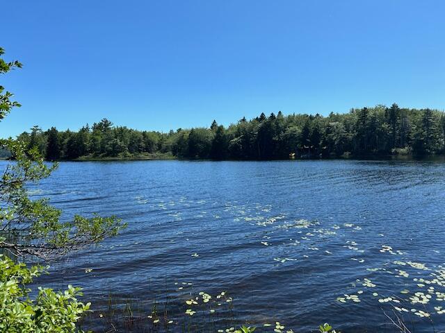 ROW water frontage 2