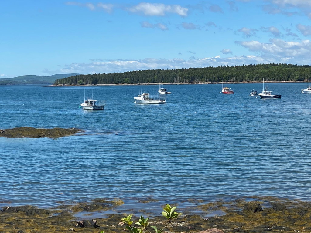 Frenchman Bay