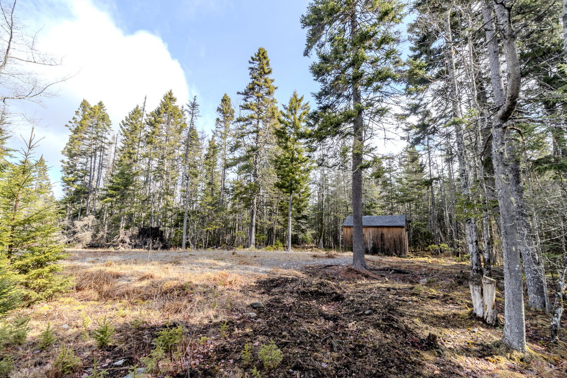 57 Yoho Head Road Machiasport