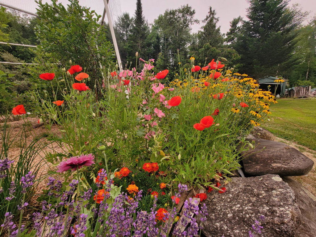 Extensive Gardens