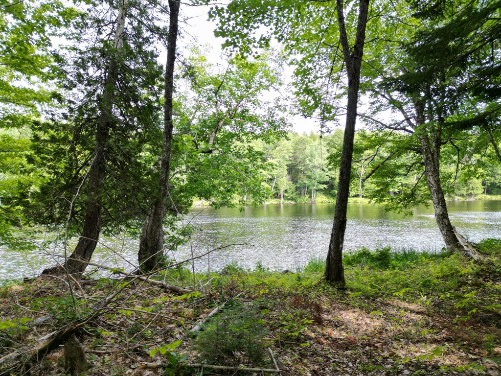 Lot 3 Off Mattamiscontis Road Howland