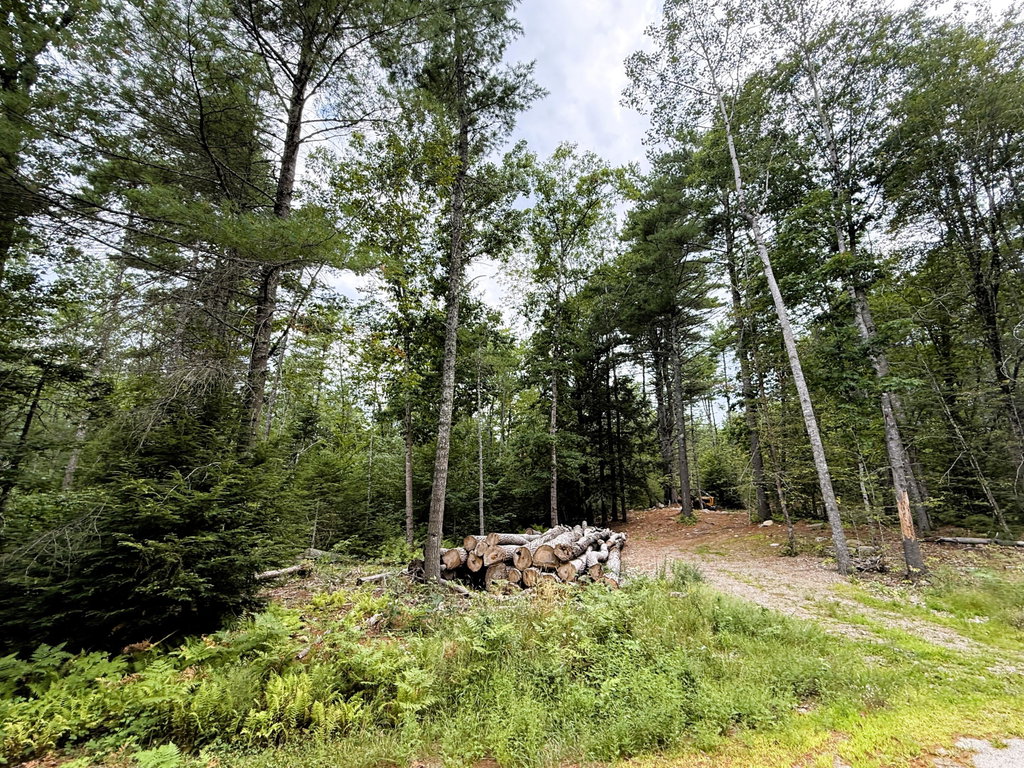Lot 6 54 A Razorville Road Washington