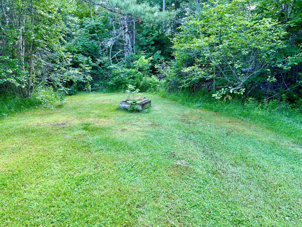 Side yard