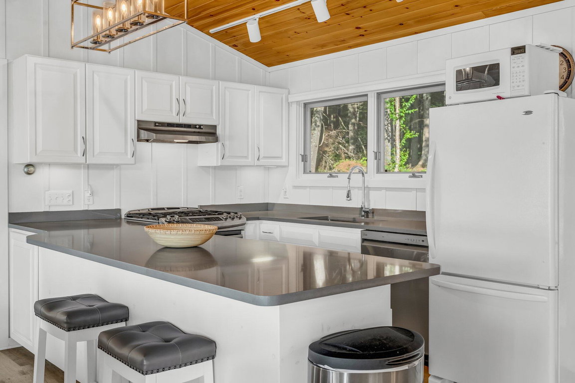 50-web-or-mls-194-branchview-dr