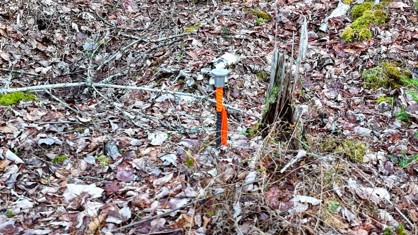Survey pin next to power pole.