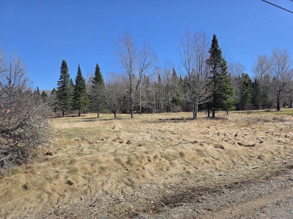 M 19  l 53 Sherman Street Island Falls