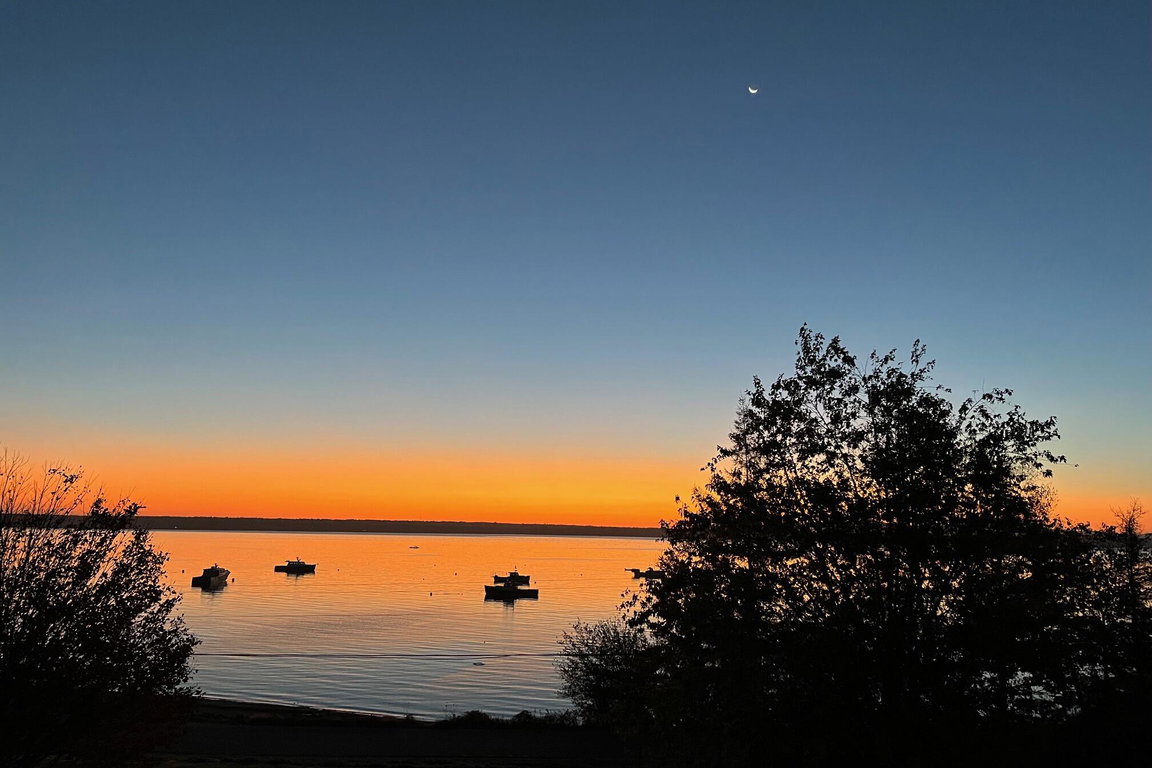 1035newburyneck_m - 4
