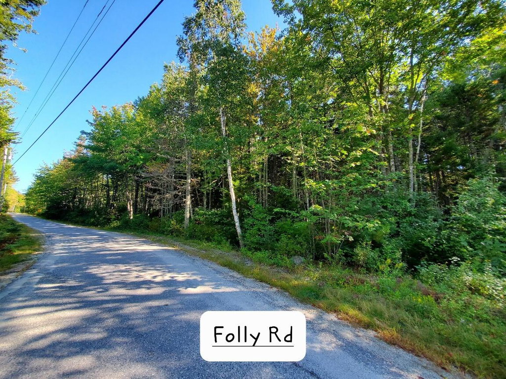 on Folly Rd