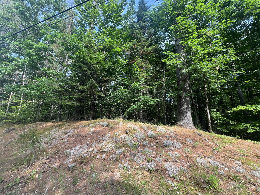 Lot #5 Intervale Road Bethel