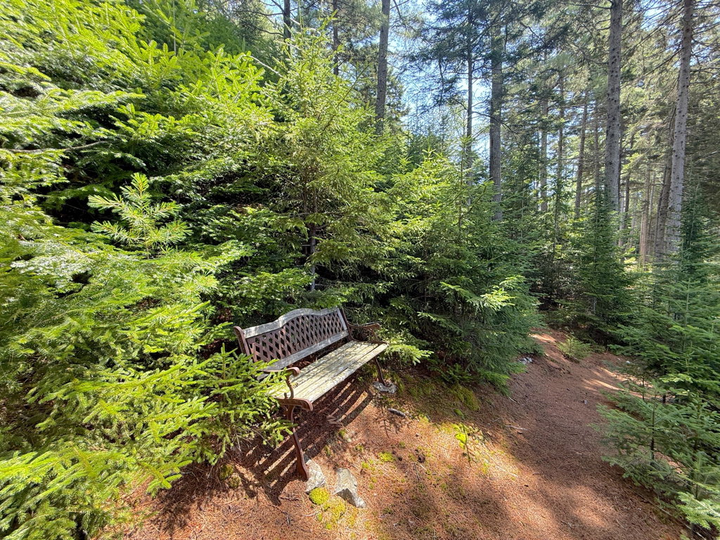 Bench