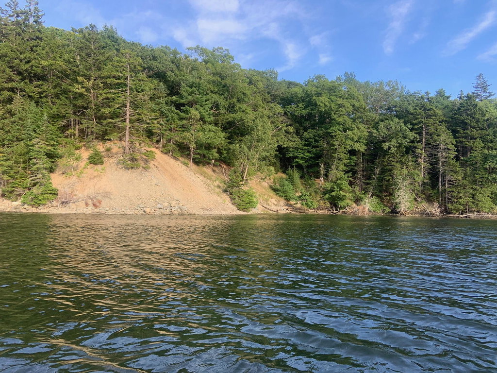 IMG_0273