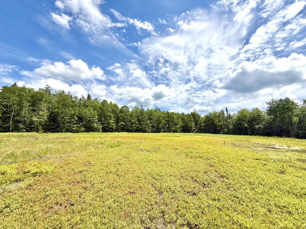 Lot 9