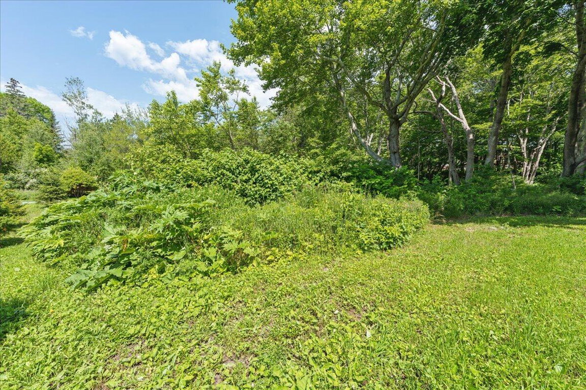 19-Land - Northeast Harbor-11