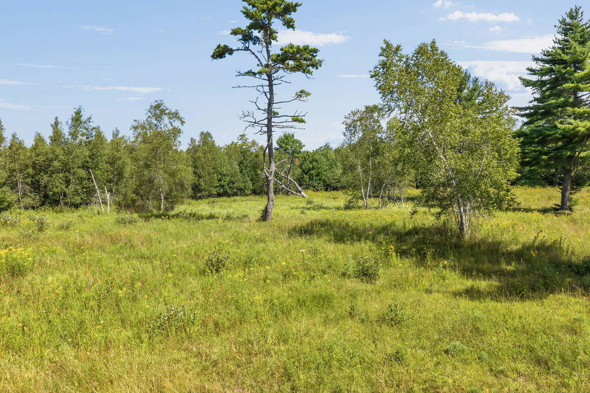 119-web-or-mls-368-partridge-cove-rd