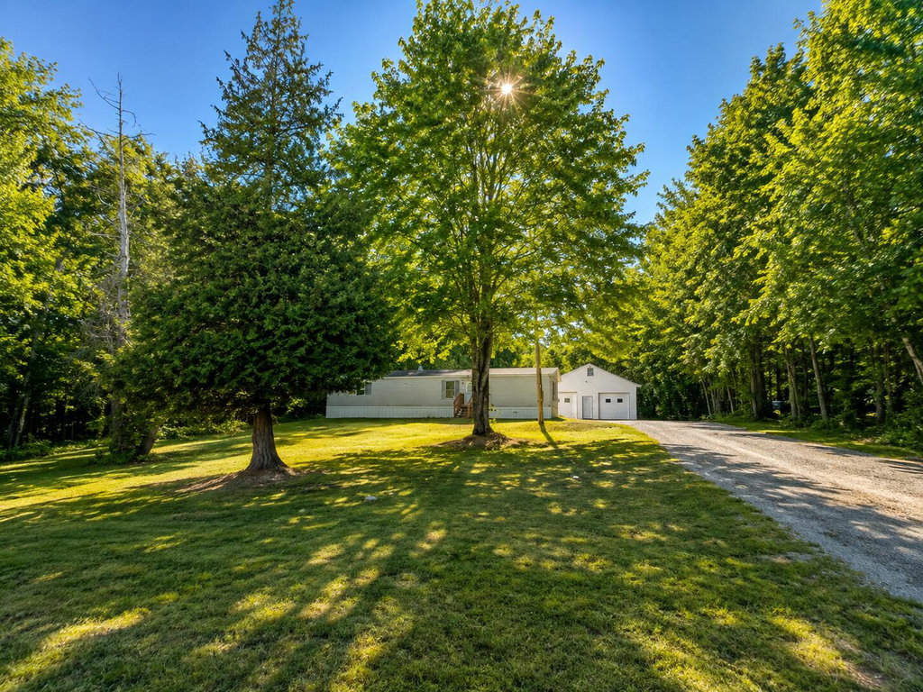 front yard