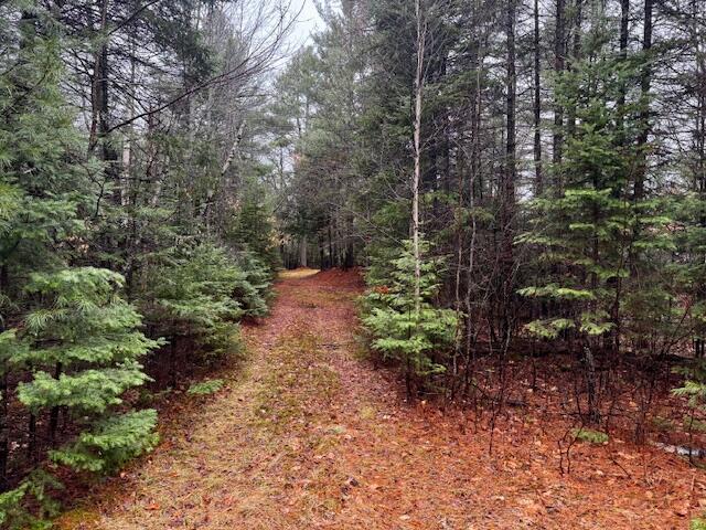 SO 001 Plan 2 Lot 16.1 Long Falls Dam Road Lexington Twp