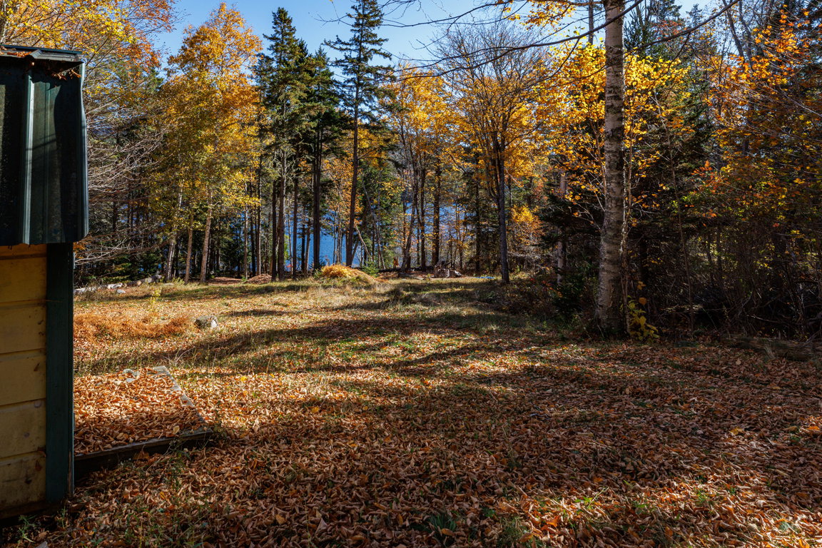 61 - Tremont Road Land - DTP