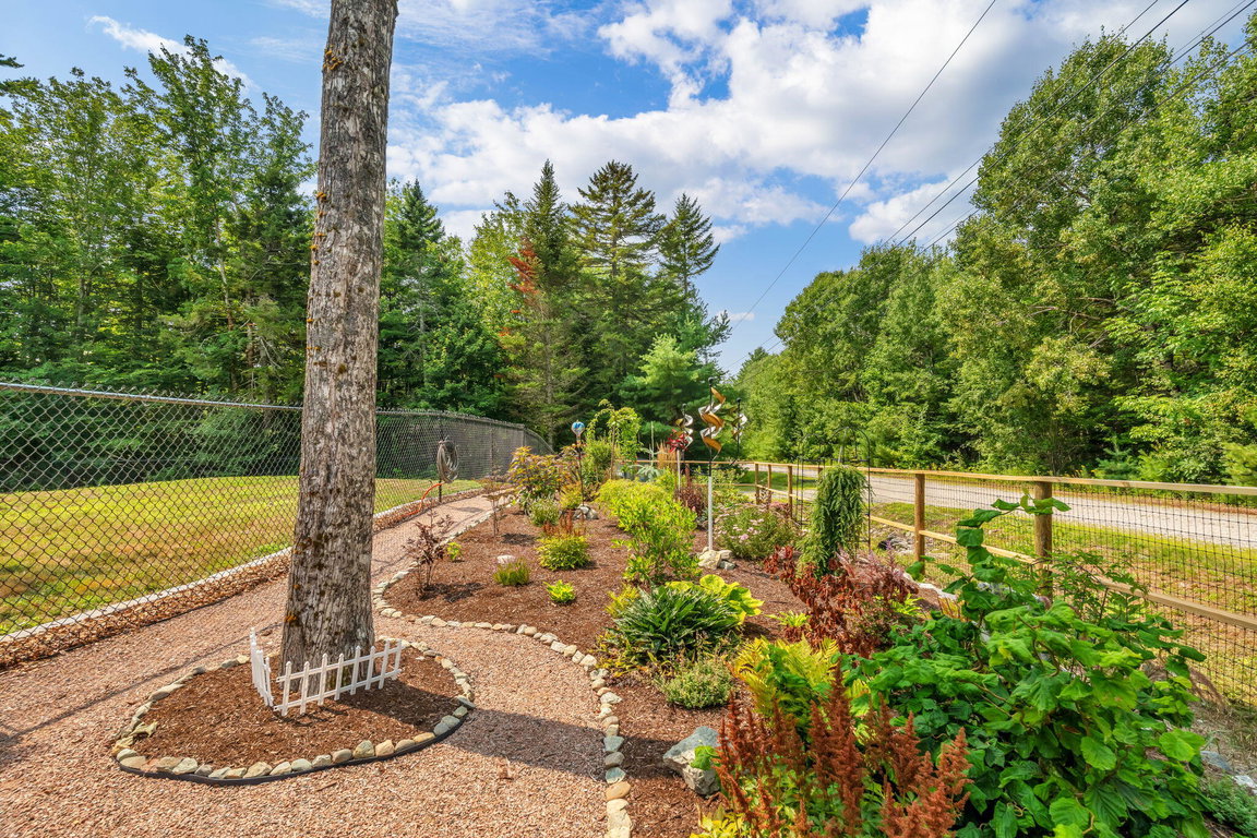 Side Yard