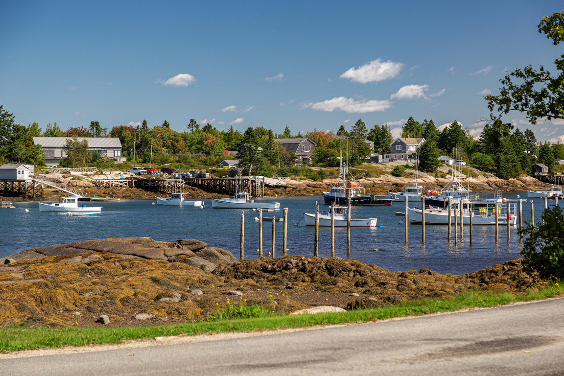 View from front yard at low tide