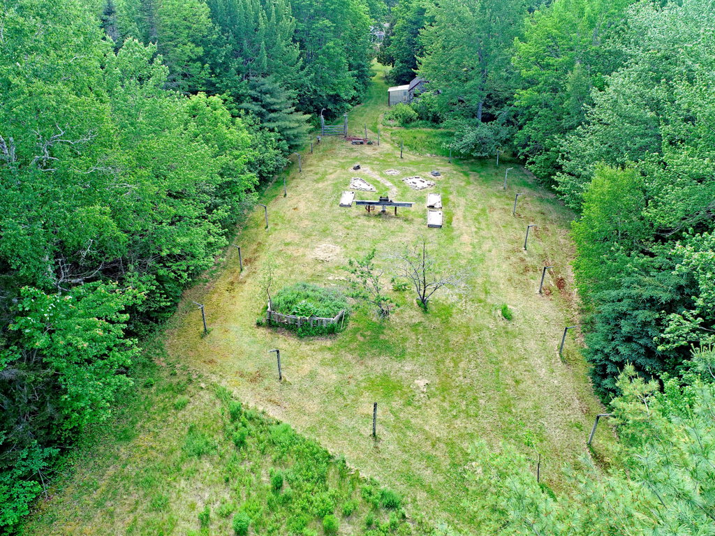 Garden (3)