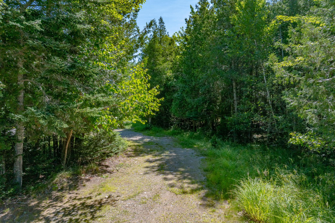 32-Lot 12_ Merganser Drive-DTP
