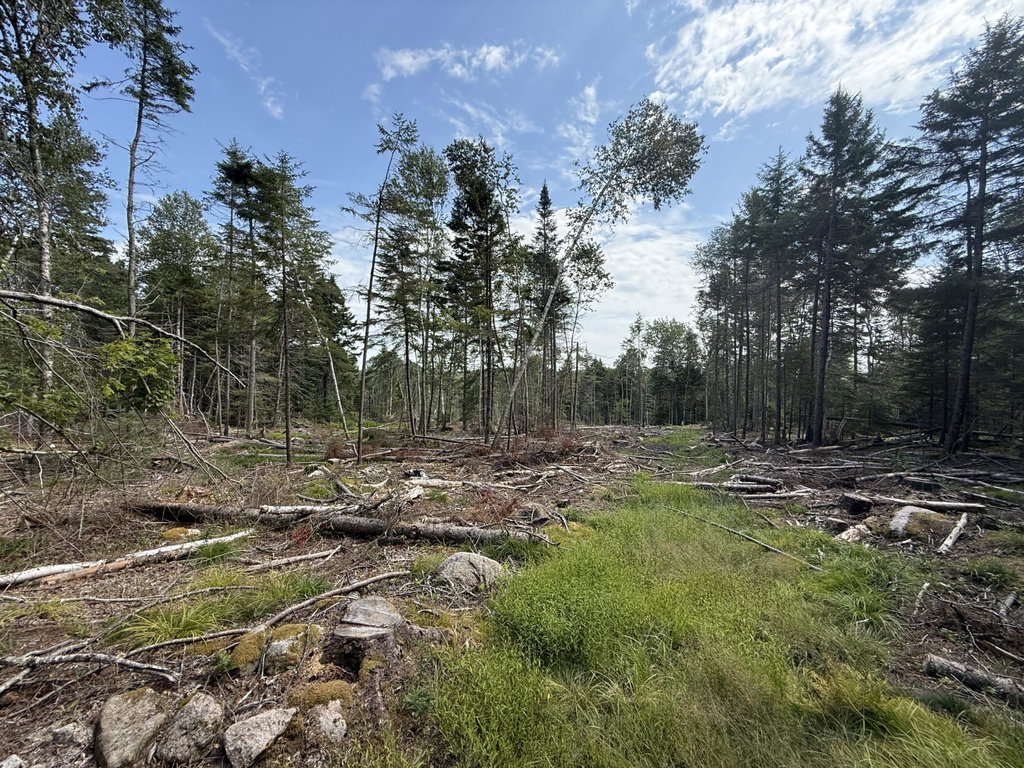 MAP 3 LOT 66 & 66-2